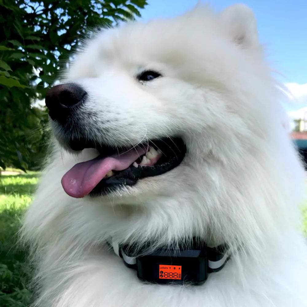 Cerco Inalámbrico GPS para Perro: Protege a tu Mejor Amigo con Tecnología Avanzada